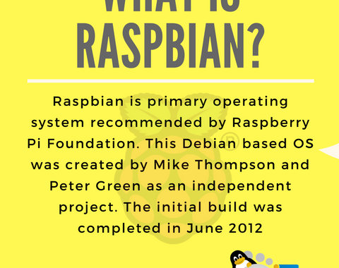 What is Raspbian OS